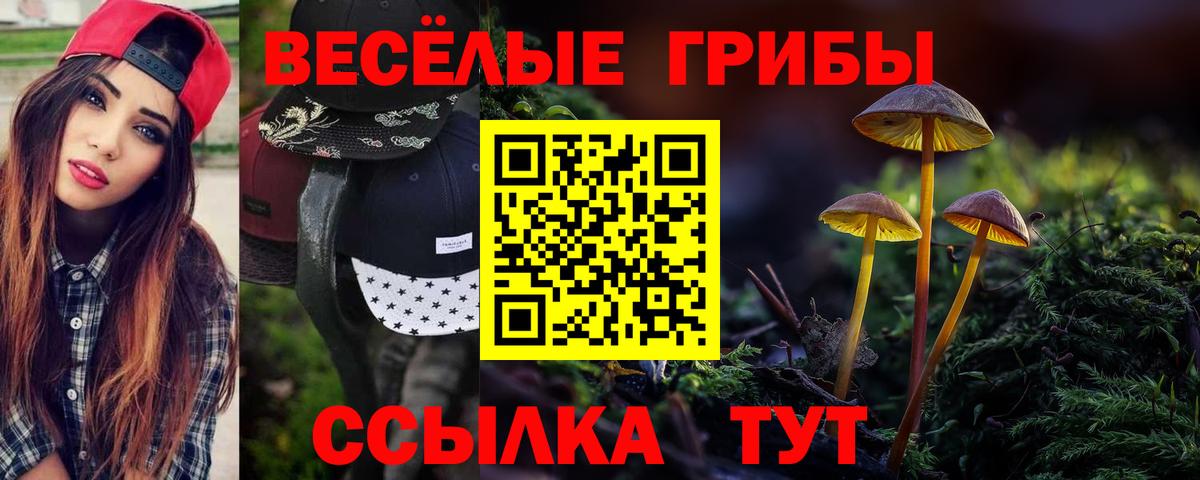 Псилоцибиновые грибы мухоморы  Псилоцибиновые грибы мицелий  Вход с VPN  Набережные Челны 